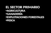 EL SECTOR PRIMARIO AGRICULTURA GANADERÍA EXPLOTACIONES FORESTALES PESCA