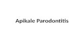 A pikale Parodontitis