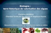 Bretagne :  terre historique  de  valorisation  des  algues