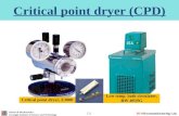 Critical  point  dryer (CPD)