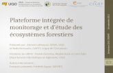 Plateforme intégrée de monitorage et d’étude des écosystèmes forestiers