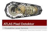 ATLAS Pixel Detektor