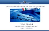Végh Richárd Budapesti  Értéktőzsde  Zrt . Sopron, 2009.03.31.