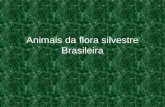 Animais da flora silvestre Brasileira
