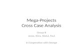Mega-Projects Cross Case Analysis
