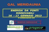 ENERGIA  DA  FONTI  RINNOVABILI 16  - 17  GENNAIO  2013