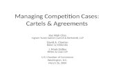 Managing Competition Cases: Cartels & Agreements