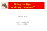 Riding the tiger  or riding the waves?