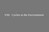 VIII.  Cycles in the Environment