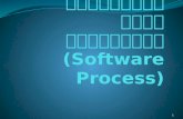 กระบวนการผลิตซอฟต์แวร์ ( Software Process)