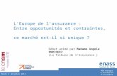 L'Europe de l'assurance :  Entre  opportunités et contraintes,  ce  marché est-il si  unique ?
