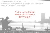 Pricing in the  Digital Networked  Economy 数字产品定价