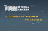 一站式搜索服务平台 - TSearcher