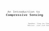 An Introduction to  Compressive Sensing