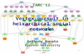 Vertex-pursuit in  heirarchical  social networks