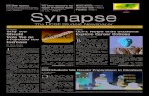 Synapse (04.04.13)