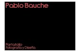 The world of Pablo Bauche
