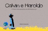 A Visão Anticapitalista de Calvin e Haroldo