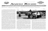 Gazeta Derevo Zhizni 41