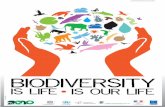 Conserving Biodiversity
