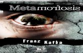 La metamorfosis de  Franz Kafka