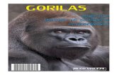 Encuentro con el Gorila