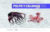 Recetario Pulpo y Calamar