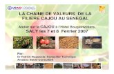 Cashew Value Chain in Senegal FR