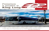 Carril Bus 108, febrero 2013