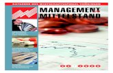Management im Mittelstand 2008/04