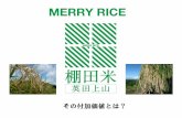 merry rice