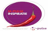 M-Pulse Inspiratieboekje