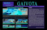 Jornal Gaivota