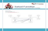 Salud Familiar Instrumentos de Evaluación Familiar R. Castillo 2012
