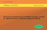 Business Administration and E-Business Management
