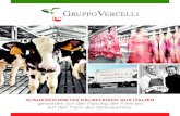 Gruppo Vercelli - Company profile