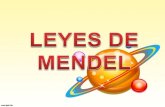 LEYES DE MENDEL PS