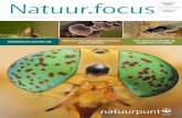 Natuur.focus 2013-1