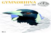 Gymnorhina 18.5