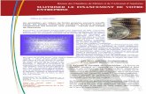 Newsletter financement 2012