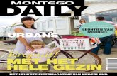 Montego brochure 2011