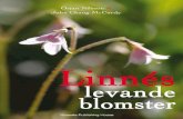 Linnés levande blomster