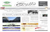 Periodico Il Grillo - anno 5 - numero 15 - 16 aprile 2011