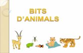 BITS ANIMALS