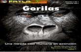 Gorillas. Una mirada humana casi en extinción
