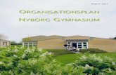 Organisationsplan Nyborg Gymnasium