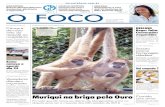 O FOCO - Edição 89 - Notícias com Nitidez