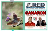 Revista Red de Noticias