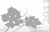 Catálogo packs Caves Campelo