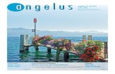 Angelus n° 33-34 / 2013